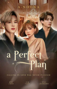 Image of a Perfect Plan