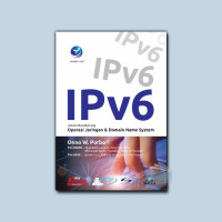 Image of IPv6 untuk Mendukung Operasi Jaringan & Domain Name System